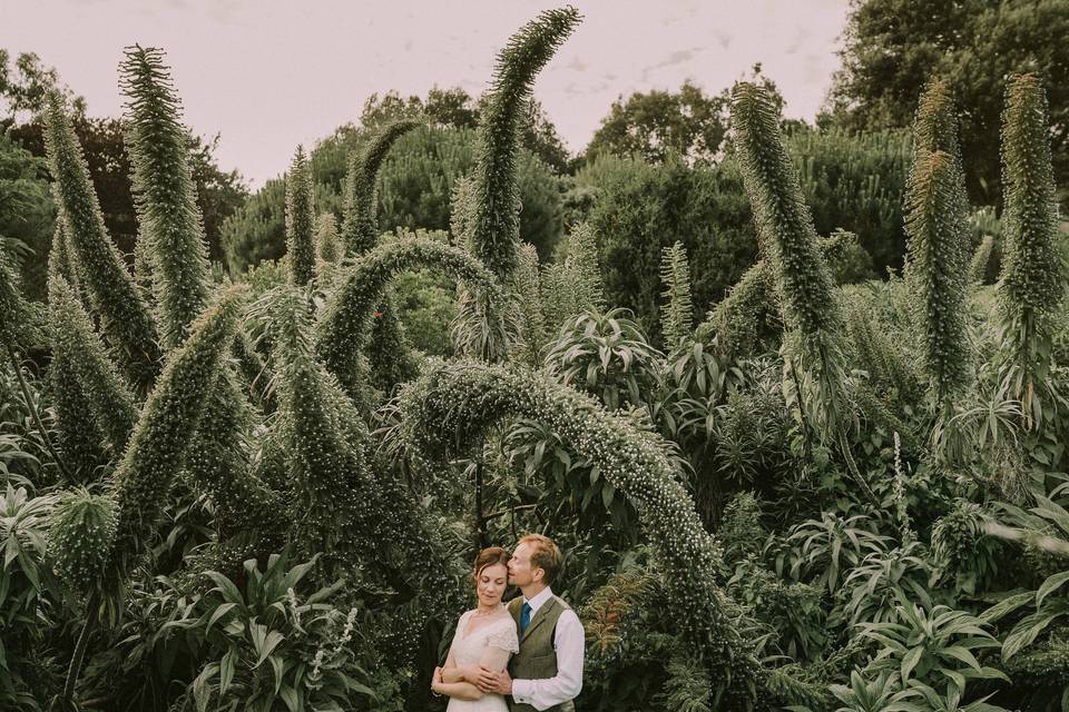 Ventnor Botanic Garden