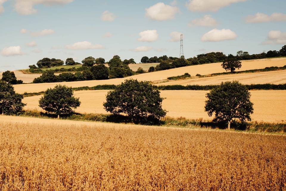 The field opposite the venue