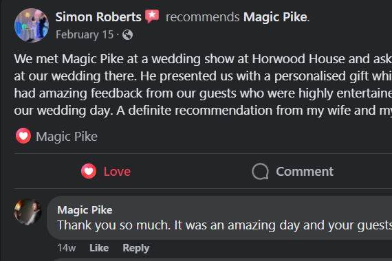Wedding Review 3