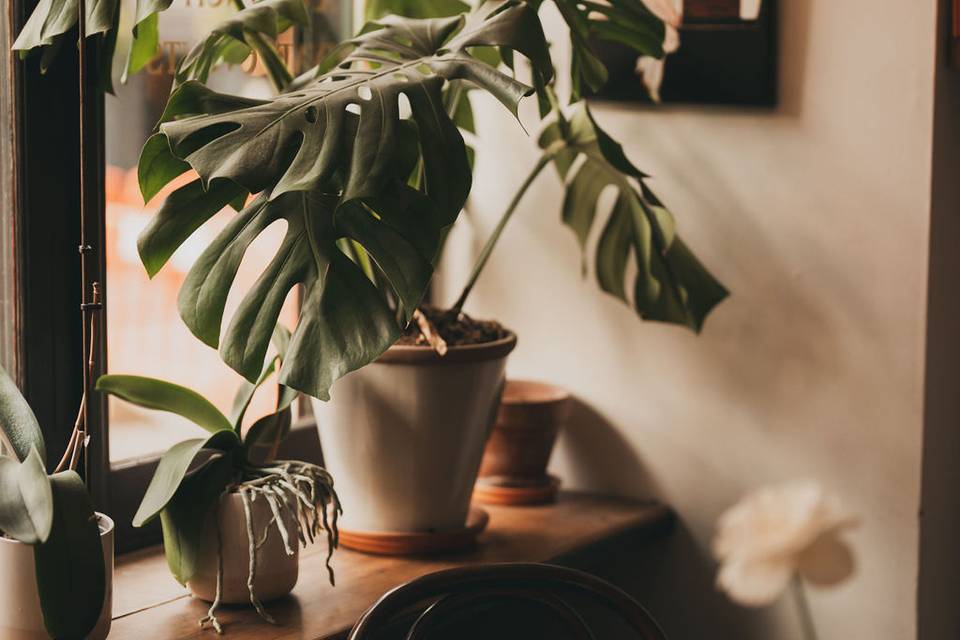 Decorated Space