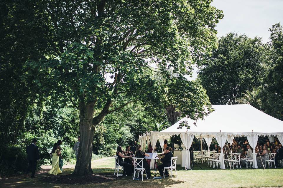 Lower lawn string quartet