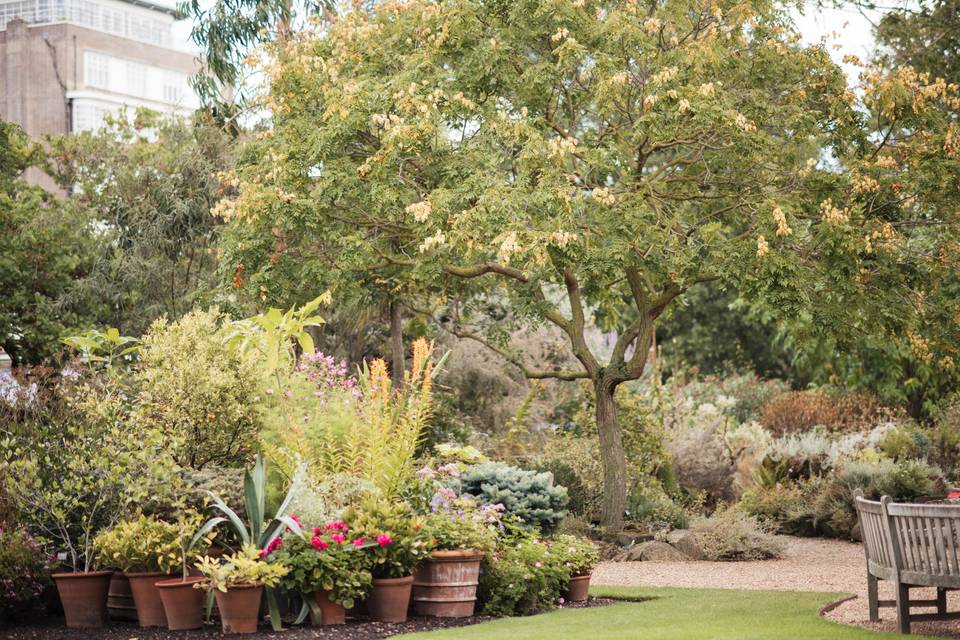 Garden 5