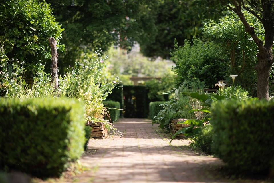 Garden 9