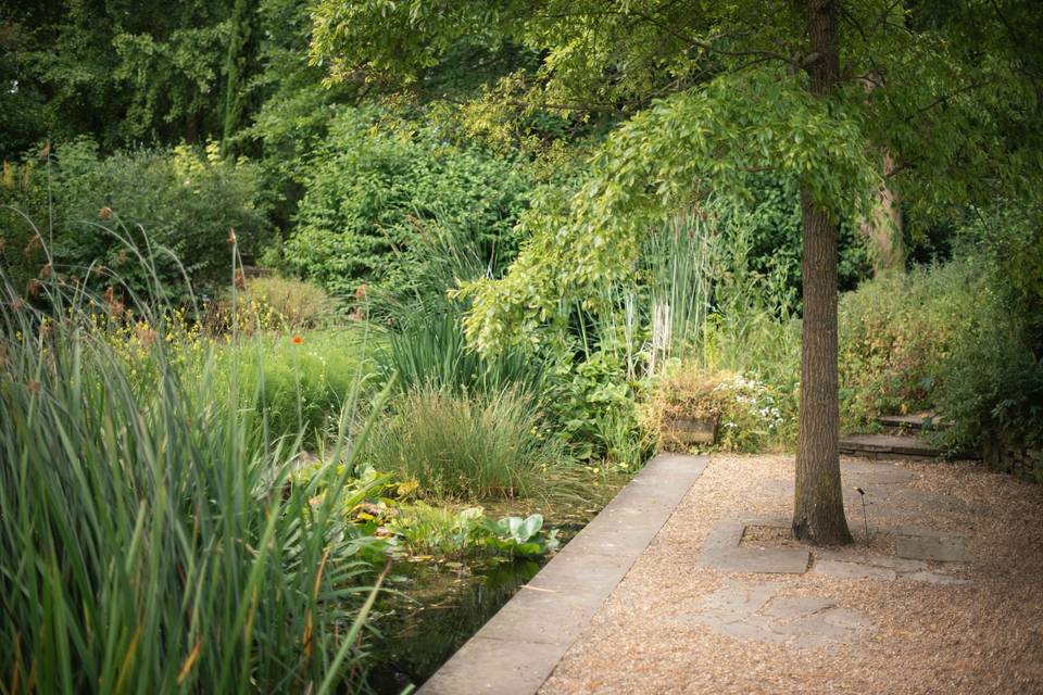 Garden 10