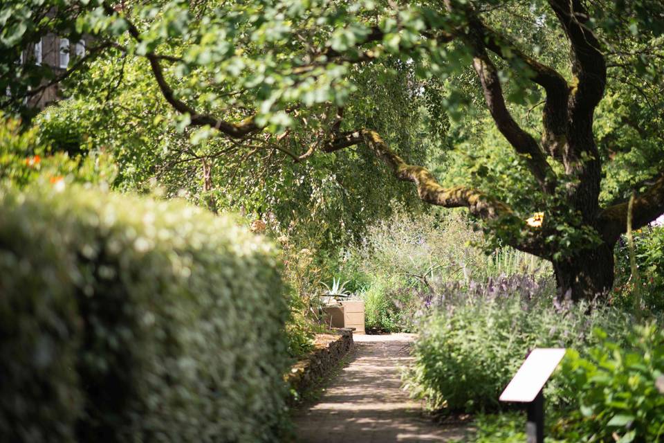 Garden 11