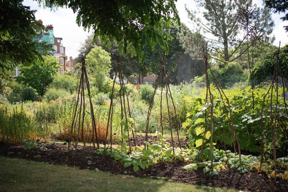 Garden 12
