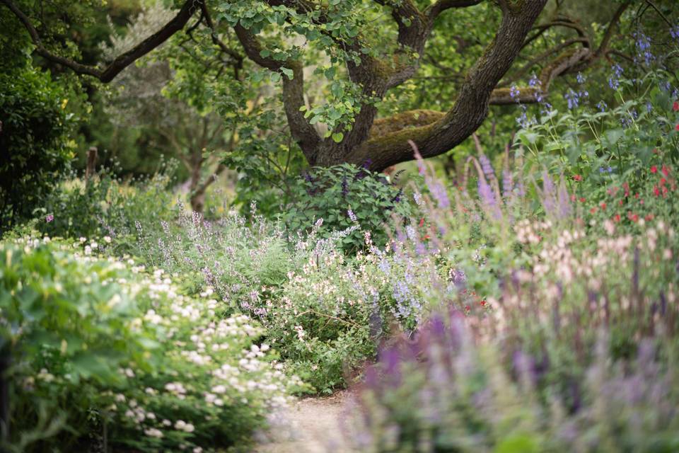 Garden 17