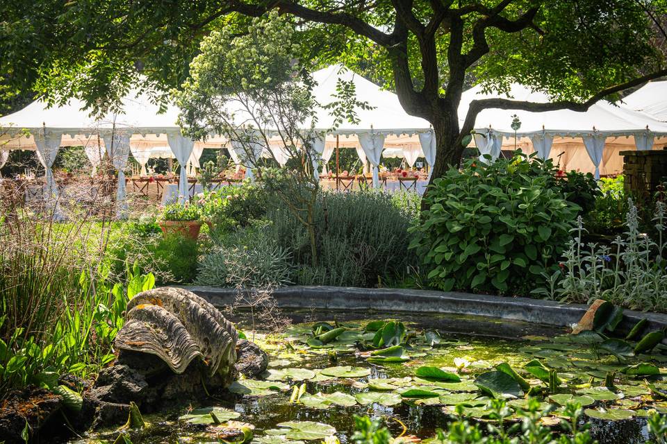 Pond Rockery