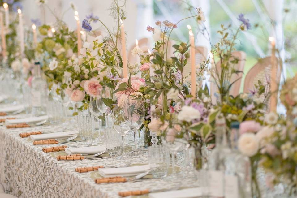 Kate Tottenham Events