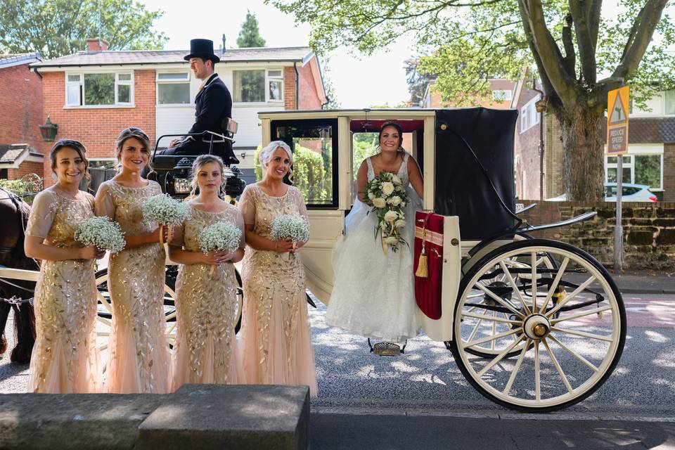 Bride's horse & carriage