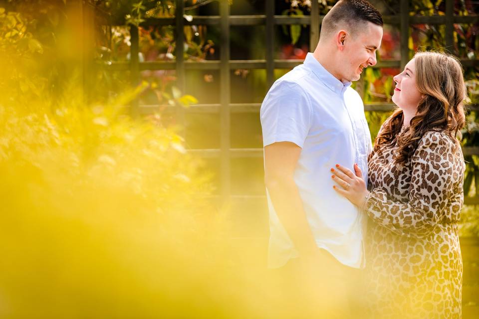 Hayne House pre wedding shoot