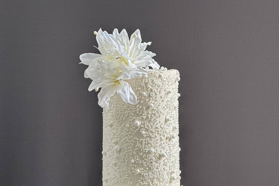 2 tier white pearl cake