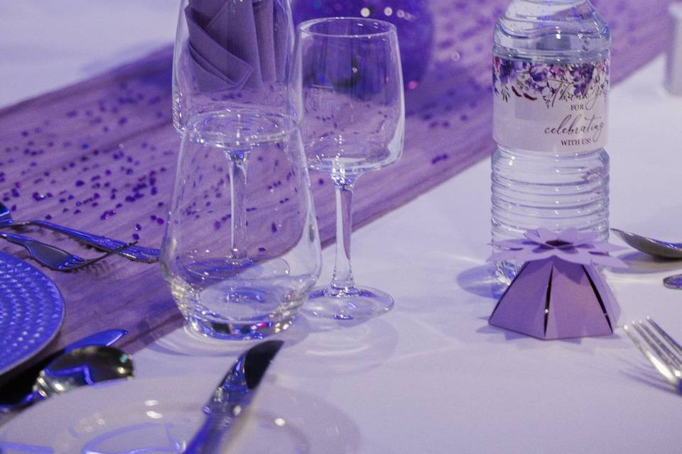 Europa Suite - Harriet Turtle