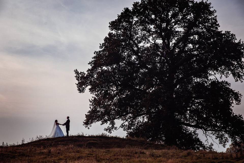 Wedding photos in nature