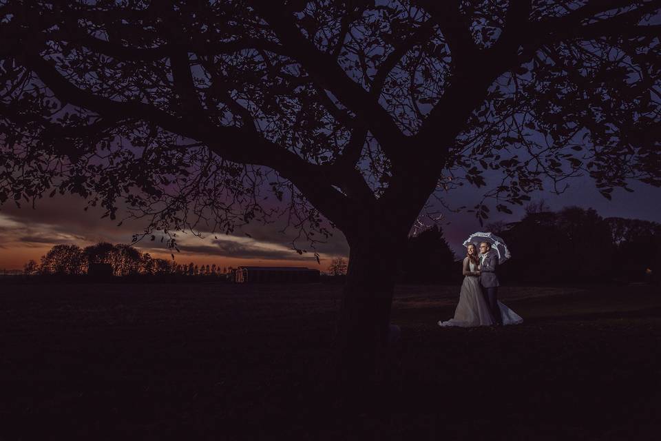 Twilight under a tree