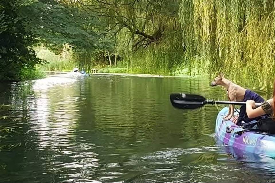 Beautiful river