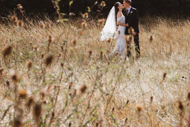 Plumley fields