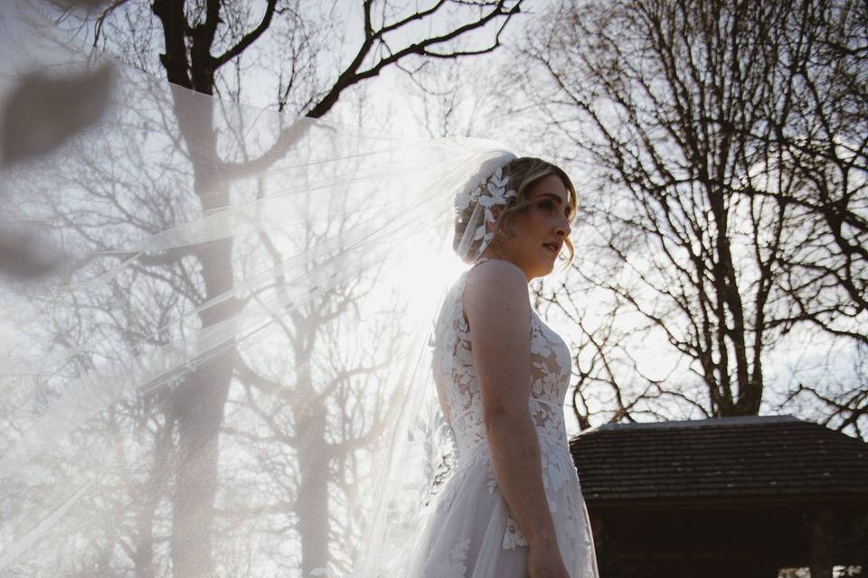 The oak tree of Peover