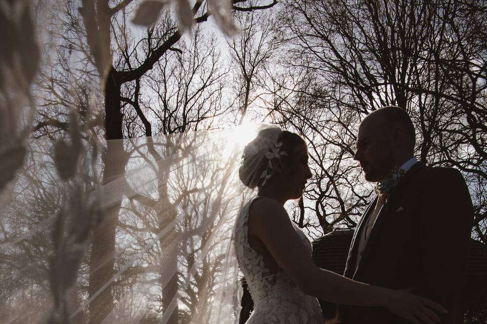 The oak tree of Peover