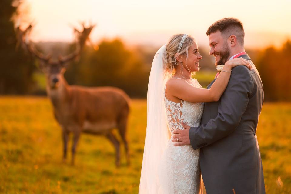 Deer park with bride & groom