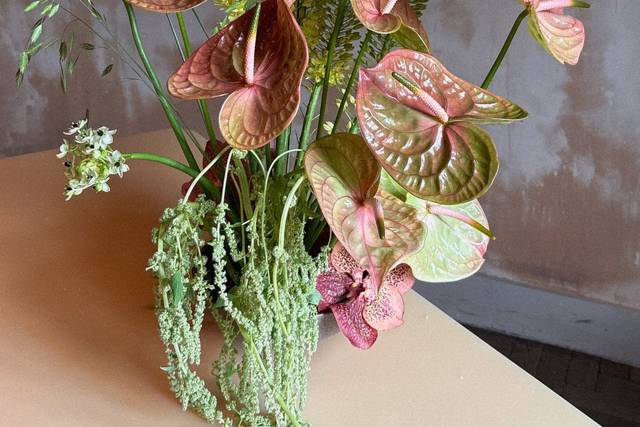 Anthurium arrangement