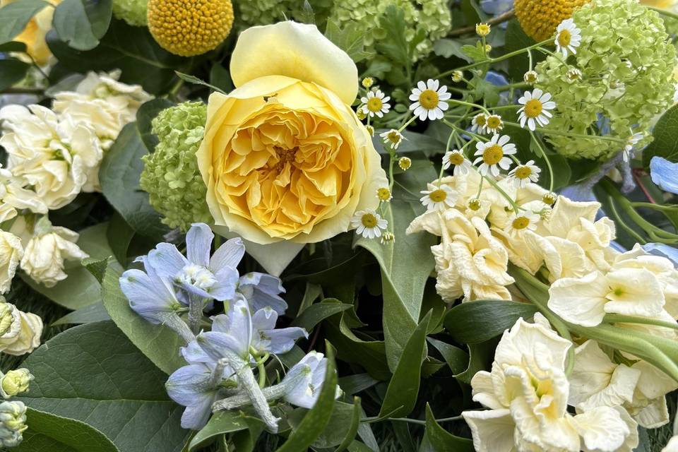 Garden rose arrangement