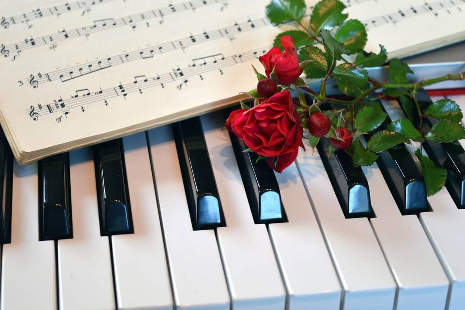 Couple’s favourite songs