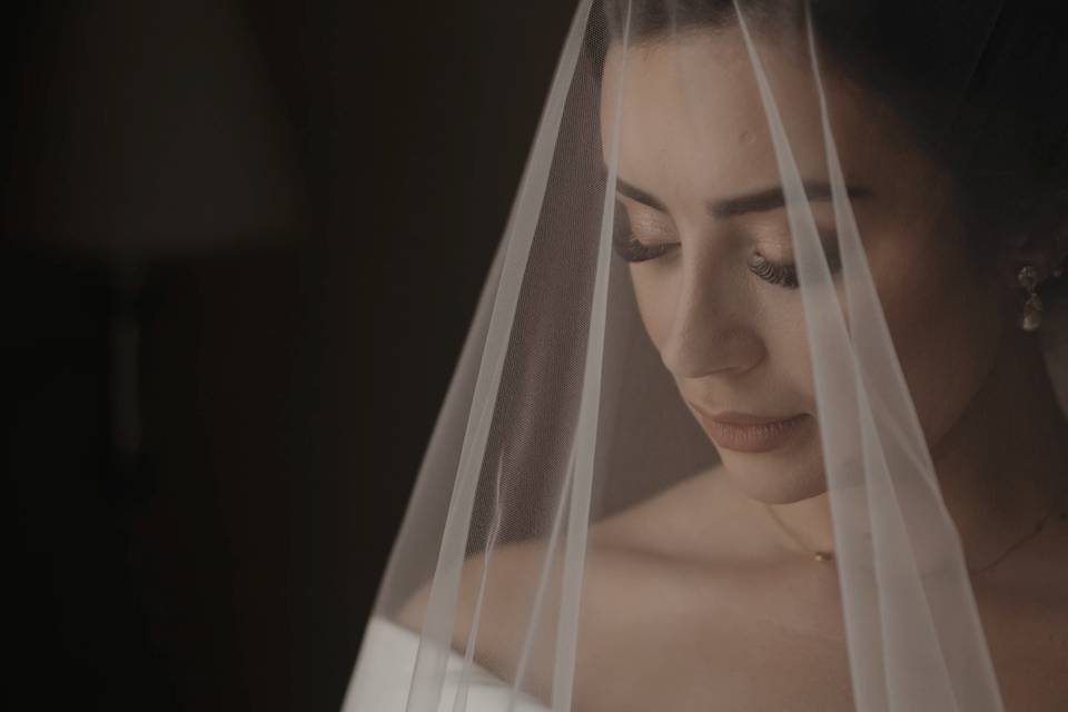 Bride portrait veil