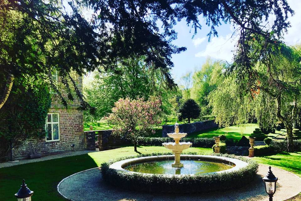 Our magical topiary avenue