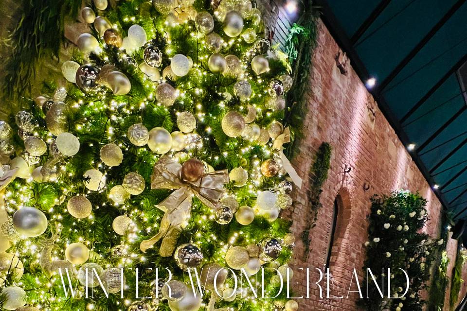 Winter Wonderland