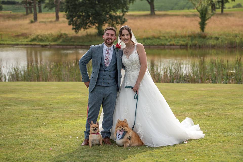 Bride & groom with dogs