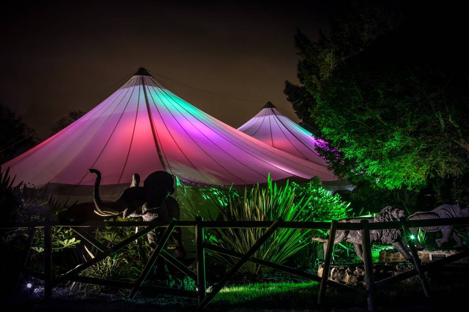 Treetops Pavilion lit up at night