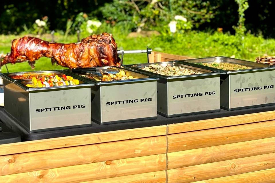 Spitting Pig