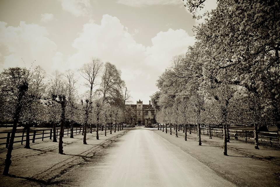 The Manor Weston