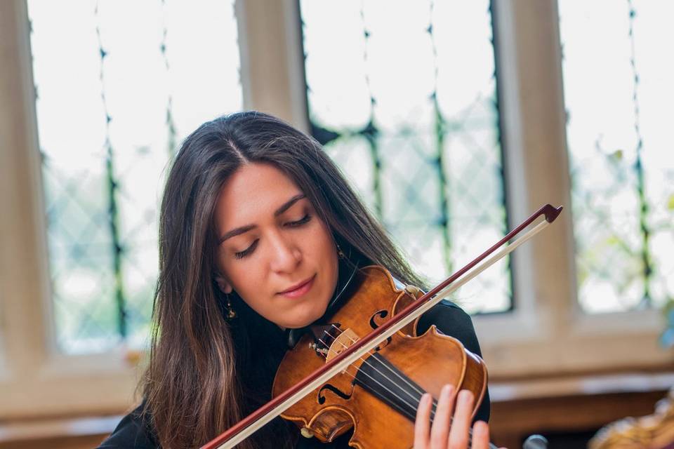 Giulia London Violinist