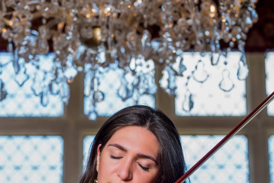 Giulia Violinist