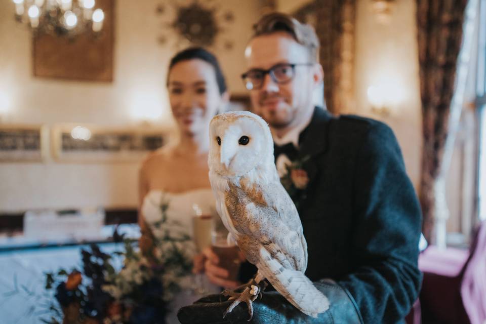 Owl ring delivery