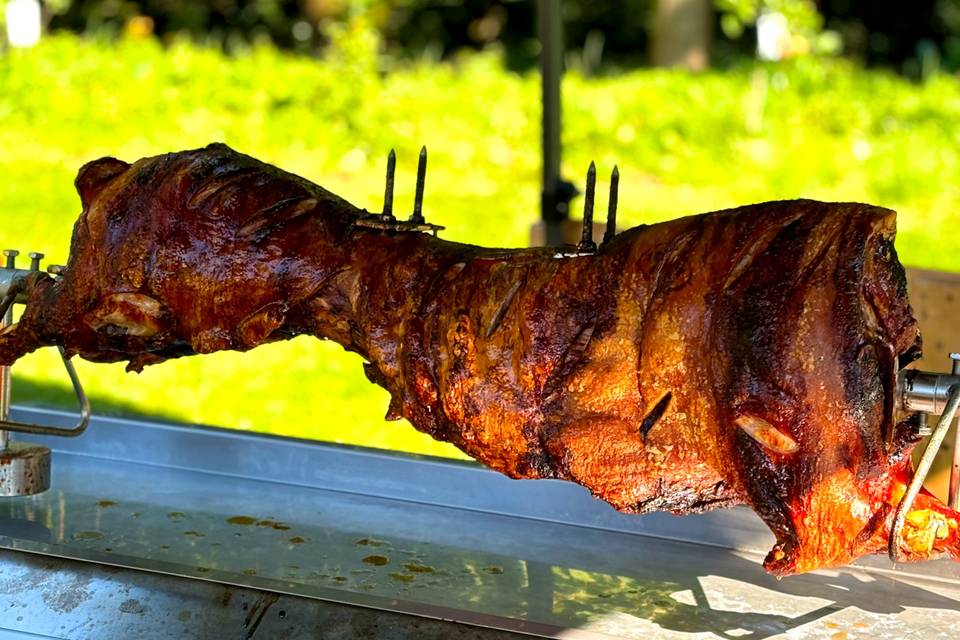 Spitting Pig