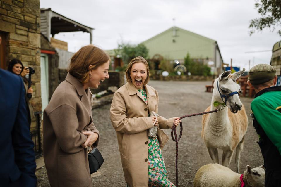 Wellbeing Farm