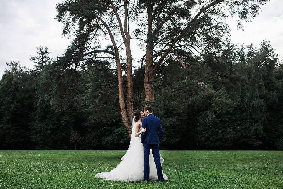 Kiss in the forest