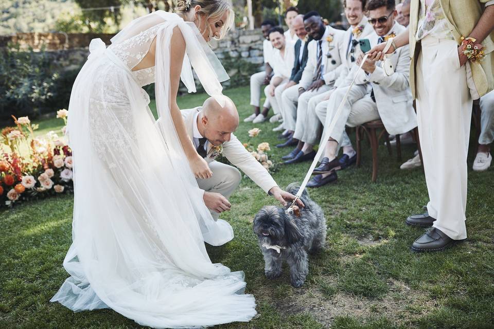 Ceremony dog