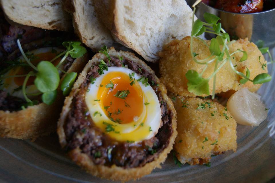 Scotch egg