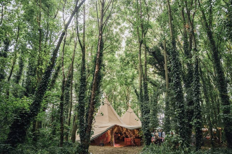 Tipis and the woods