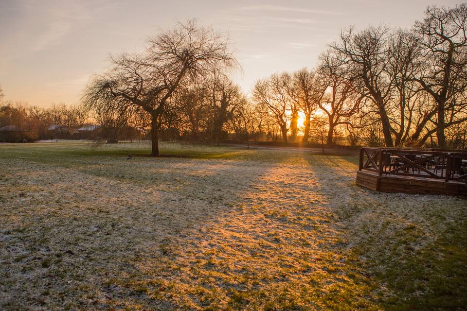 Frosty Lawn