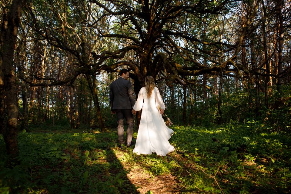 Beautiful Wedding Setting