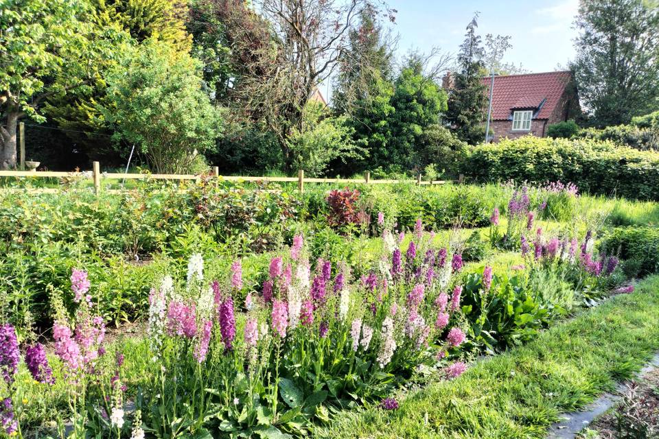 The perennial cutting patch