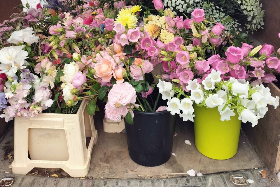 Buckets of flowers delivered