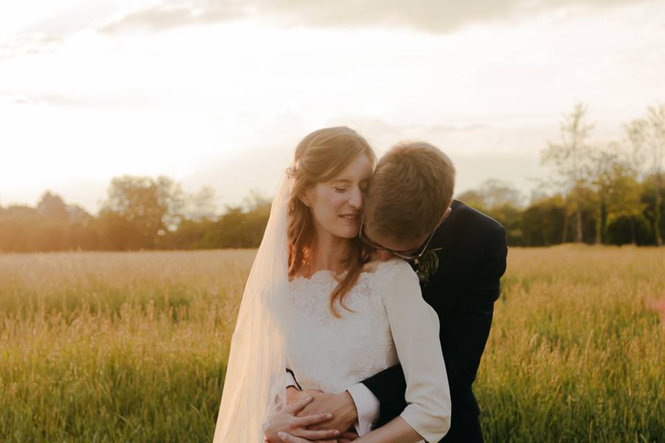 Photos in the fields