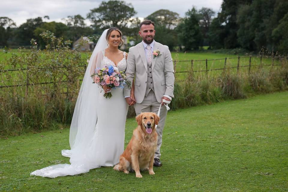 Pawfect Weddings