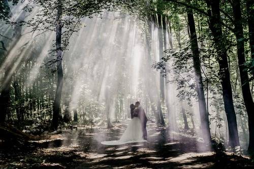 Forest wedding